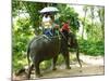 Riding Elephants in the Chalong Highlands, Phuket, Thailand, Southeast Asia, Asia-Nico Tondini-Mounted Photographic Print