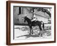 Brown Frame