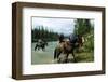 Riding in Banff National Park, Alberta, Canada-null-Framed Art Print