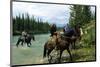 Riding in Banff National Park, Alberta, Canada-null-Mounted Art Print