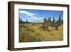 Riding in Banff National Park, Alberta, Canada-null-Framed Art Print