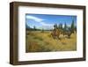 Riding in Banff National Park, Alberta, Canada-null-Framed Art Print