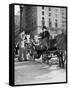 Riding in StyleCarriage Driver at Grand Army Plaza 02002_H)-null-Framed Stretched Canvas