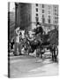 Riding in StyleCarriage Driver at Grand Army Plaza 02002_H)-null-Stretched Canvas