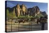 Riding Stable, Horse Ranch, the Bulldogs, Goldfield Mountains, Lower Salt River, Arizona, Usa-Rainer Mirau-Stretched Canvas