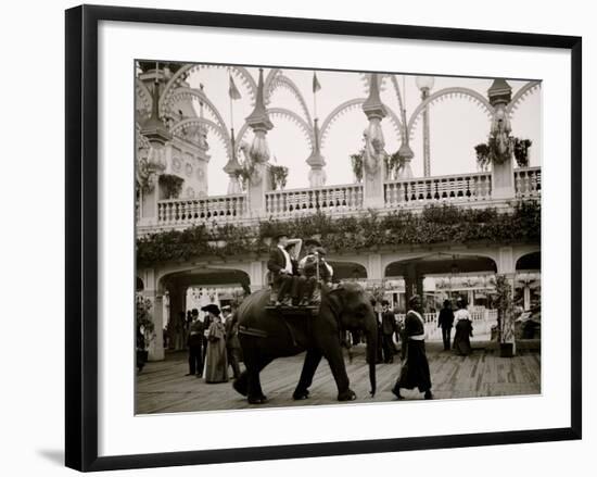 Riding the Elephant, Coney Island, N.Y.-null-Framed Photo