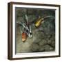 Riding the Light II-Farrell Douglass-Framed Giclee Print