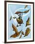 Riding the Wind - Jack & Jill-Leo Politi-Framed Giclee Print