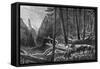 Riding Through the Forest, British Columbia, Canada, 19th Century-Leitch-Framed Stretched Canvas