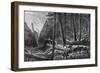 Riding Through the Forest, British Columbia, Canada, 19th Century-Leitch-Framed Giclee Print