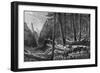 Riding Through the Forest, British Columbia, Canada, 19th Century-Leitch-Framed Giclee Print