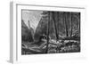 Riding Through the Forest, British Columbia, Canada, 19th Century-Leitch-Framed Giclee Print