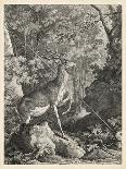 Woodland Deer II-Ridinger-Framed Art Print