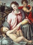 The Madonna and Child with the Infant Saint John the Baptist-Ridolfo Ghirlandaio-Giclee Print