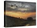 Stretched Canvas