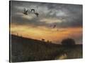 Stretched Canvas