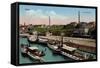 Riesa Elbe, Landungsplatz, Dampfer Riesa-null-Framed Stretched Canvas