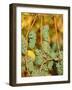 Riesling grapes hanging on vine shoots-Herbert Kehrer-Framed Photographic Print