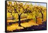 Riesling Vines-Janet Vanderhoof-Framed Stretched Canvas