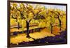 Riesling Vines-Janet Vanderhoof-Framed Giclee Print