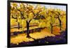 Riesling Vines-Janet Vanderhoof-Framed Giclee Print