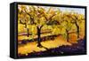 Riesling Vines-Janet Vanderhoof-Framed Stretched Canvas