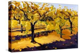 Riesling Vines-Janet Vanderhoof-Stretched Canvas