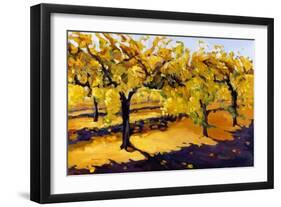 Riesling Vines-Janet Vanderhoof-Framed Giclee Print