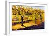 Riesling Vines-Janet Vanderhoof-Framed Giclee Print