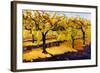 Riesling Vines-Janet Vanderhoof-Framed Giclee Print