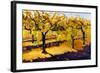 Riesling Vines-Janet Vanderhoof-Framed Giclee Print