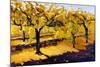 Riesling Vines-Janet Vanderhoof-Mounted Giclee Print