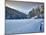 Riessersee in Winter-Marc Gilsdorf-Mounted Photographic Print