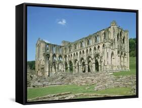 Rievaulx Abbey, North Yorkshire, England, United Kingdom, Europe-Harding Robert-Framed Stretched Canvas