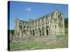 Rievaulx Abbey, North Yorkshire, England, United Kingdom, Europe-Harding Robert-Stretched Canvas