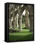 Rievaulx Abbey, North Yorkshire, England, United Kingdom-Roy Rainford-Framed Stretched Canvas