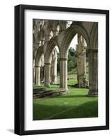 Rievaulx Abbey, North Yorkshire, England, United Kingdom-Roy Rainford-Framed Photographic Print