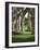 Rievaulx Abbey, North Yorkshire, England, United Kingdom-Roy Rainford-Framed Photographic Print