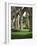Rievaulx Abbey, North Yorkshire, England, United Kingdom-Roy Rainford-Framed Photographic Print