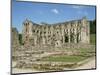 Rievaulx Abbey, North Yorkshire, Yorkshire, England, United Kingdom-Philip Craven-Mounted Photographic Print