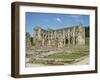 Rievaulx Abbey, North Yorkshire, Yorkshire, England, United Kingdom-Philip Craven-Framed Premium Photographic Print