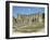 Rievaulx Abbey, North Yorkshire, Yorkshire, England, United Kingdom-Philip Craven-Framed Premium Photographic Print