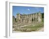 Rievaulx Abbey, North Yorkshire, Yorkshire, England, United Kingdom-Philip Craven-Framed Premium Photographic Print