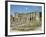 Rievaulx Abbey, North Yorkshire, Yorkshire, England, United Kingdom-Philip Craven-Framed Photographic Print