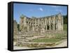 Rievaulx Abbey, North Yorkshire, Yorkshire, England, United Kingdom-Philip Craven-Framed Stretched Canvas