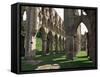 Rievaulx Abbey, Yorkshire, England, United Kingdom-Adam Woolfitt-Framed Stretched Canvas