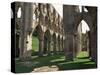 Rievaulx Abbey, Yorkshire, England, United Kingdom-Adam Woolfitt-Stretched Canvas