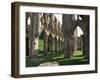 Rievaulx Abbey, Yorkshire, England, United Kingdom-Adam Woolfitt-Framed Photographic Print