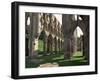 Rievaulx Abbey, Yorkshire, England, United Kingdom-Adam Woolfitt-Framed Photographic Print