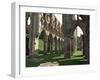 Rievaulx Abbey, Yorkshire, England, United Kingdom-Adam Woolfitt-Framed Photographic Print